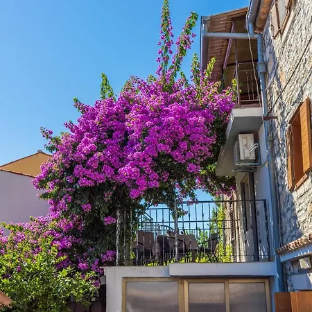 펜션 House Nevenka *